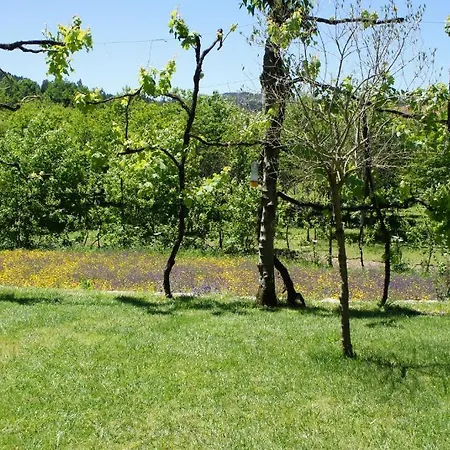 ファームステイ Quinta Travessa ヴィエイラ・ド・ミーニョ