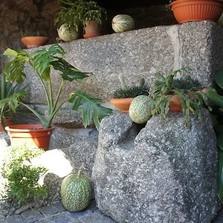 金塔巷农家乐 * 维埃拉·多米尼奥