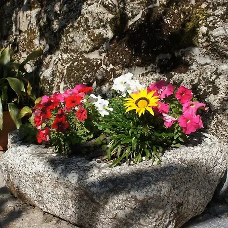 农家乐 金塔巷农家乐 *