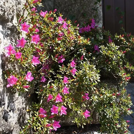 Quinta Travessa * ヴィエイラ・ド・ミーニョ