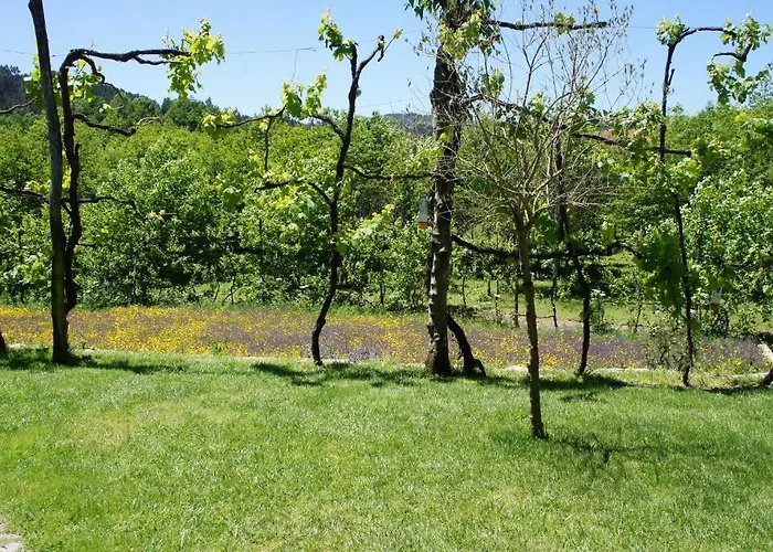 Agroturismo Quinta Travessa Vieira do Minho