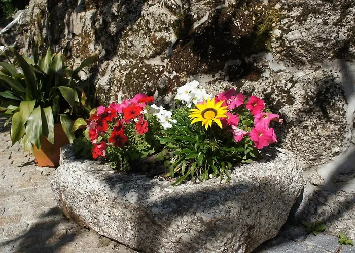 팜스테이 Quinta Travessa *