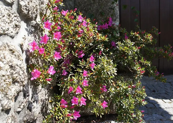 Quinta Travessa * 비에이라도미노